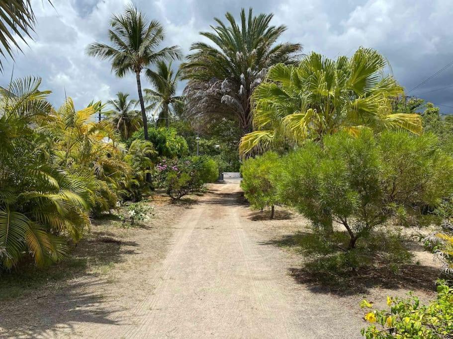 Villa Coco Des Sables Acces Direct Au Lagon Ла-Салін-ле-Бен Екстер'єр фото